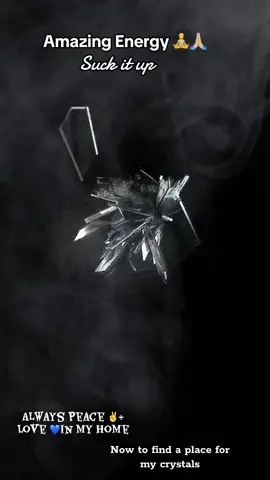 #Group7 #fyp #jtkf #dramafree💓 #nyc1starr 