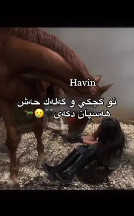 #اكتيفم_دابةزيوة_هاوكاريم_كةن🔥🇩🇪🦅 