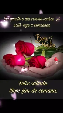 Boa noite sábado 🌹🌹🌹