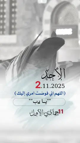 اللهم اجعل قلبي مطمئناً بذكرك، ونفسي راضية بقضائك، واجعل لي في كل أمر خيرًا، وأبعد عني القلق والحزن يا أرحم الراحمين