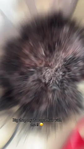 I’m loving it so far 🥰! #bigchop #fyp 