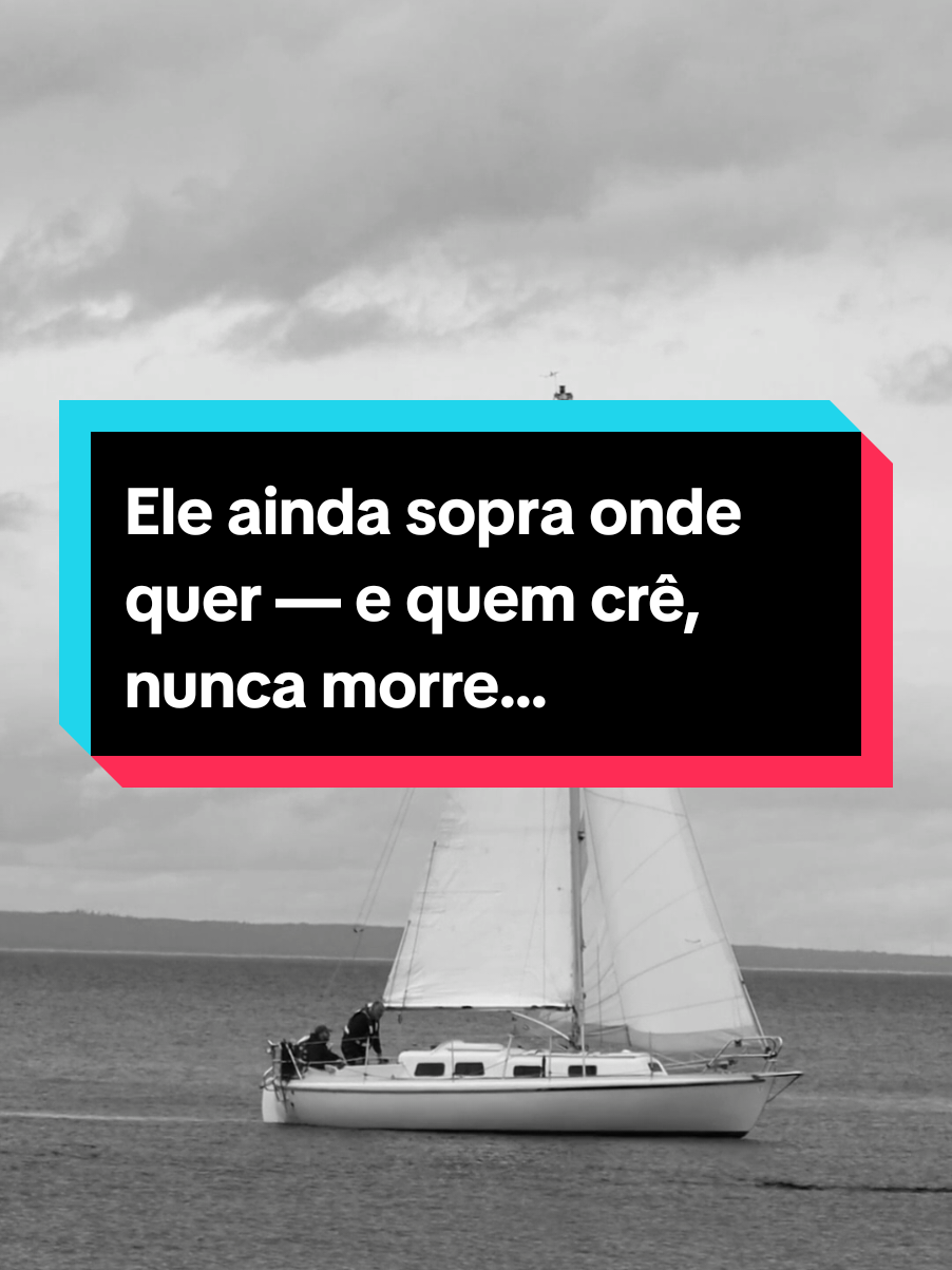 Sinta o vento do Espírito tocar sua vida. Se essa mensagem falou com você, siga e compartilhe — porque quem crê, vive para sempre. 🌬️✨ #jesus #god #christiantiktok #fyp #fy 