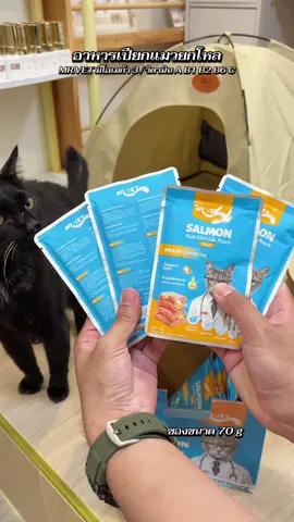 อาหารเปียกสำหรับน้องแมวยกโหล 12 ซอง มีประโยชน์ช่วยให้ขนสวยระบบขับถ่ายดี #อ#อาหารเปียกแมวอ#อาหารแมว