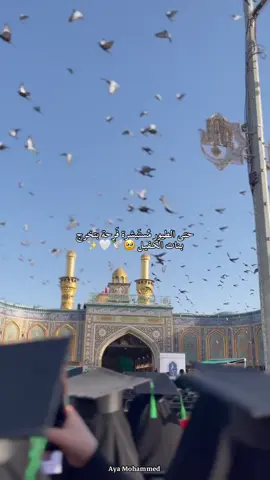 🥹🤍🕊️✨ ٠ ٠ ٠ ٠ #اكسبلور #fyp #كربلاء #ابا_الفضل_العباس #طيور 
