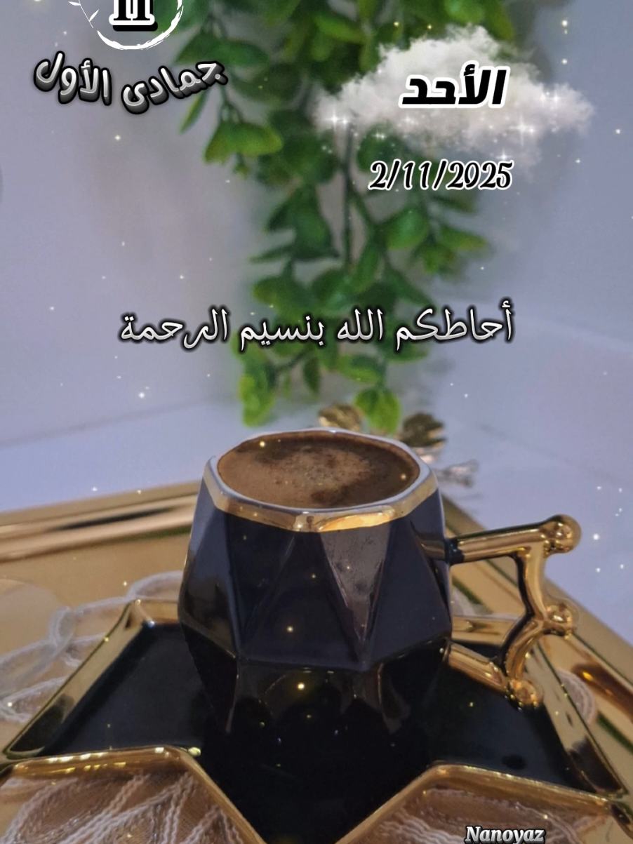 صباح الأحد 2/11/2025 🌸✨️#CapCut #viral #تصميم_فيديوهات🎶🎤🎬 #nanoyaz #يارب❤️ 