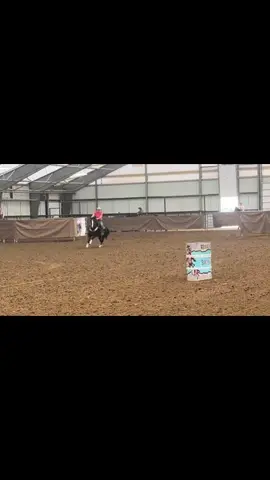 I’m really loving this horse🩷