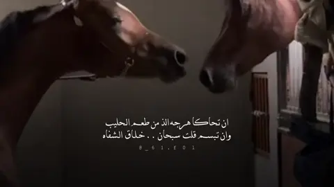 #اكسبلورexplore #fyp 