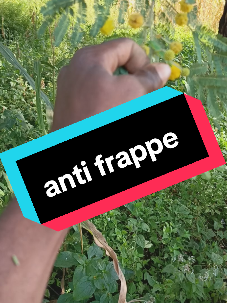 #mali #cotedivoire🇨🇮225 #france #america 