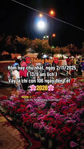 Còn 15 cái chủ nhật nữa thôi mọi người ơi!🤗🥰🧧#tetnguyendan2026🧧🎆🧨 #CapCut #fyp #xuhuong #thinhhanh  