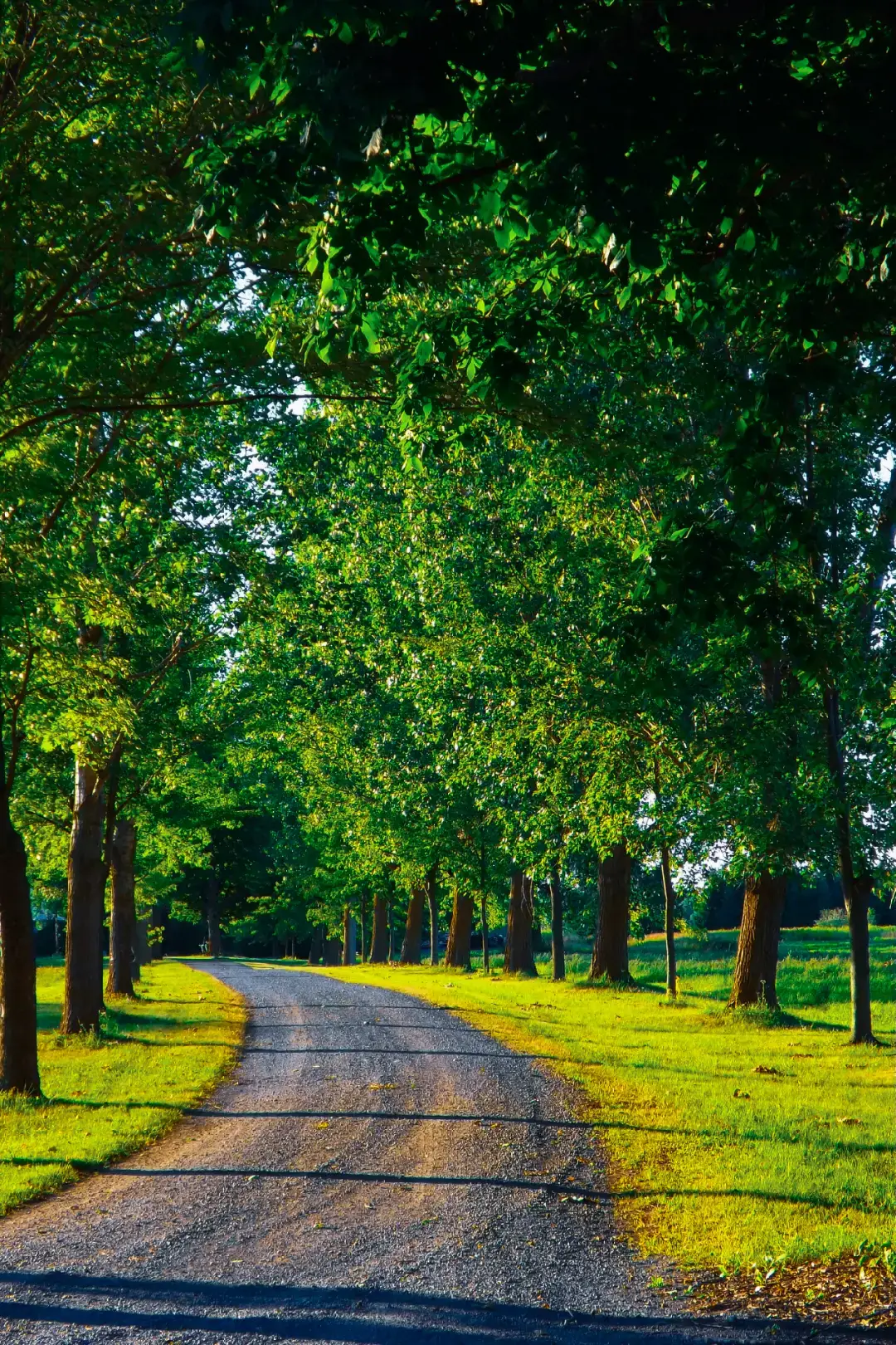 Entre caminos verdes, lagos tranquilos y cielos infinitos 🌳💧✨ Cada rincón de la naturaleza tiene su propia magia… ¿cuál de estos lugares te gustaría visitar? 🌄💚  #NaturalezaViva #CielosAzules #PaisajesHermosos #BellezaNatural #MomentosUnicos