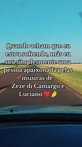 #zezedicamargoeluciano #zezedicamargo #musicasertaneja #nostalgia 