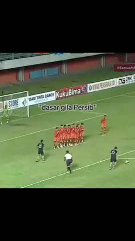 💙💙💙#persib #bandungfotball #bandung #fy #story 