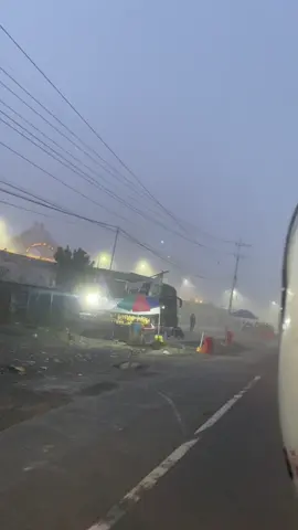 #fypp #mesjidviral #catsoftiktok #capcut 