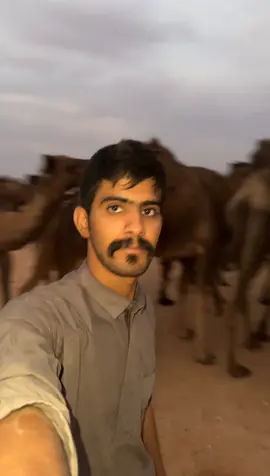 #مالي_خلق_احط_هاشتاقات 