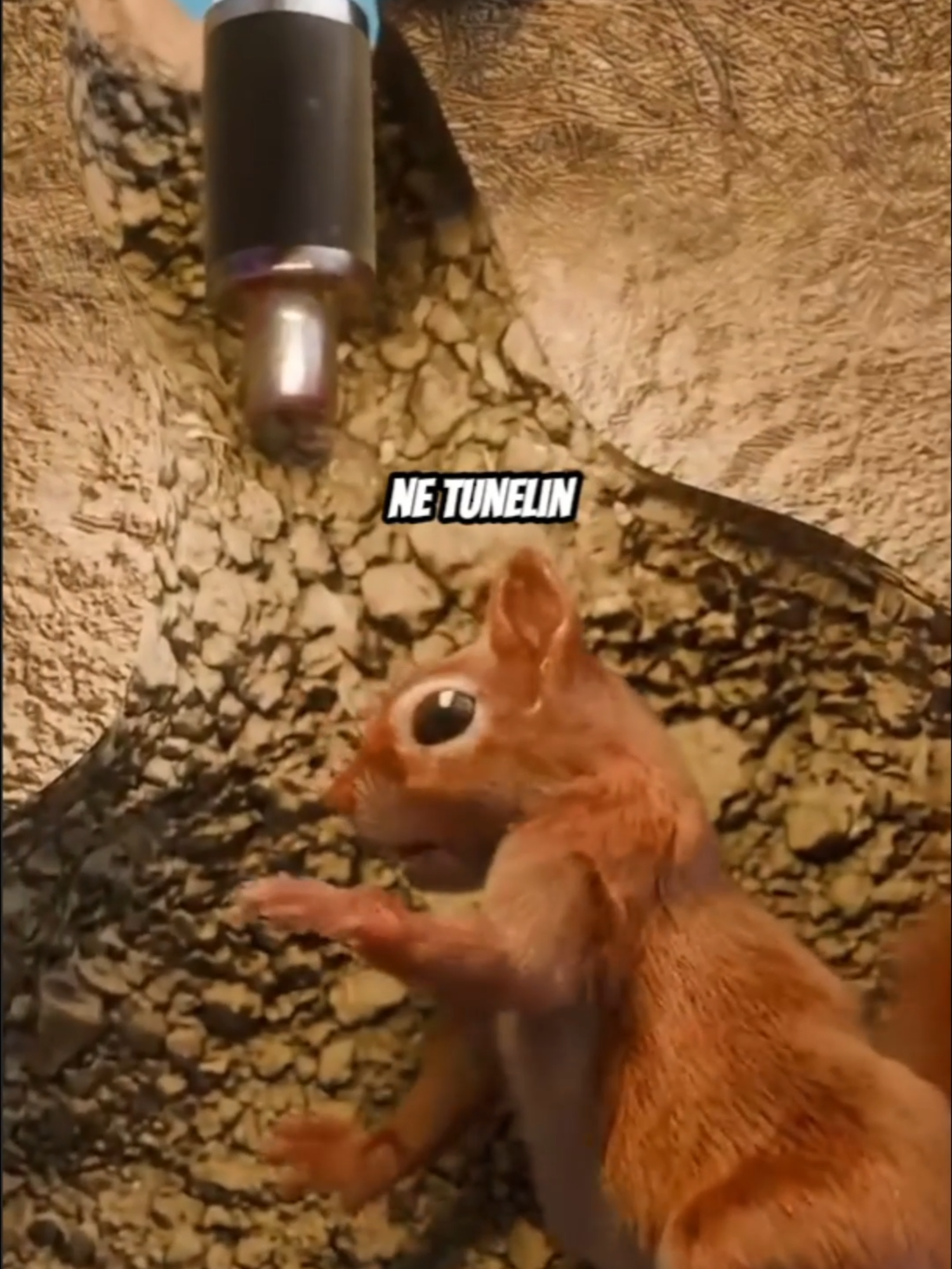 Ja si Egzekutohet nje Keter #fyp #fypツ #foryoupage #viral #shqip #funny #funnyvideos