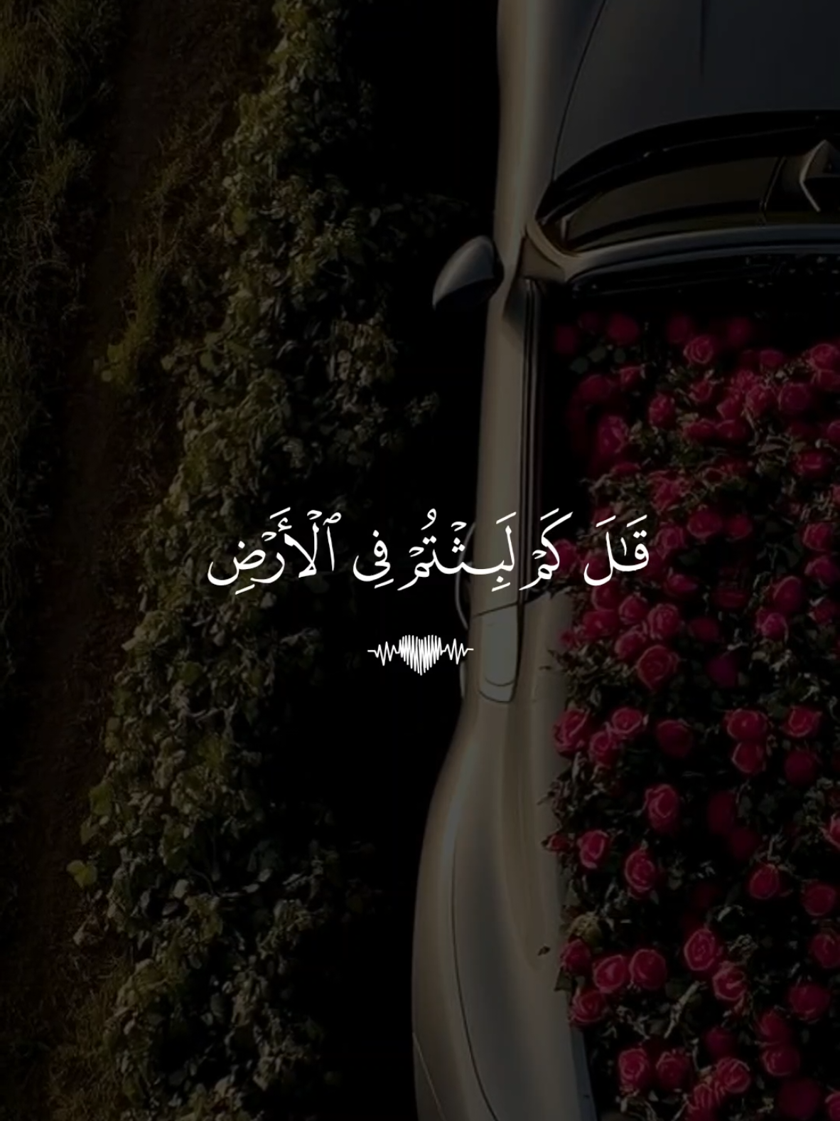 🕳️ تلاوة خاشعة بصوت القارئ ماهر المعيقلي سورة المؤمنون  #تلاوة_خاشعة #قران #quran #fyp #foruyou 