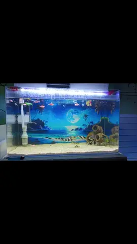 Jangan Pernah Takut Menghadapi Derasnya Arus Kehidupan Karena Justru Disitulah Jiwa Kita Ditempa Agar Lebih Tegar