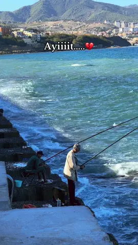 MC ARTISAN FOUZI Torino QOLOLO 🌍💯#fouryourpage #viralvideotiktok #rap #mcartisan #fouzitorino #algeria #ALGER #charchal #ghorba🗼🇫🇷👻🇪🇺🇪🇸 