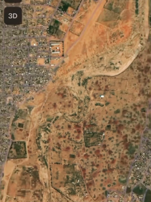 The recent reports of 