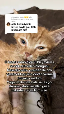 @mangalda kanat😋😋 adlı kullanıcıya yanıt veriliyor 