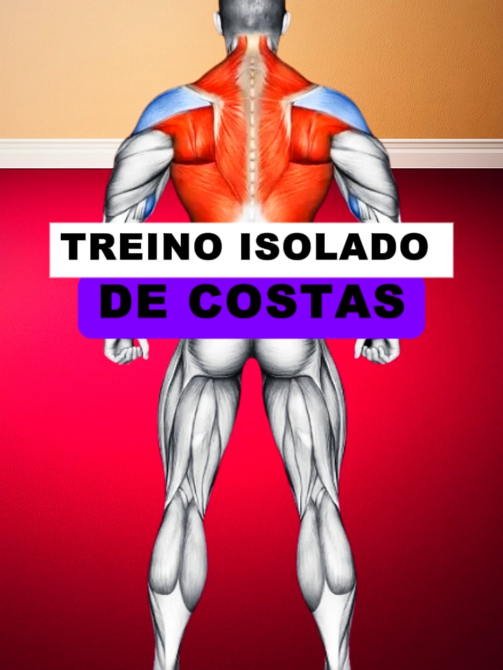 Treino Isolado de Costas — pra mulher que quer postura firme, costas definidas e cintura mais fina. #costas #academia #treinodesuperiores #treinodesuperioresfeminino