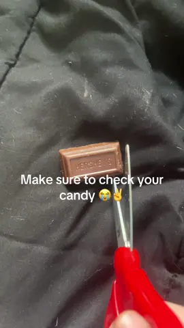 fat ahh cat in my fat ahh chocolate 😭✌️✌️😖😖😣😣#CLOCKIT #fyp #xyzbca #car #fyp 