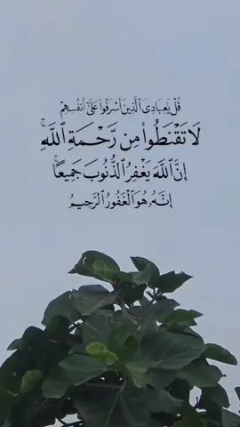 قُلْ يَاعِبَادِيَ الذيْنَ أَسْرَفُوْا عَلَى أَنْفُسِهِمْ لا تَقْنَطُوا مِنْ رَحْمَةِ اللهِ..#آيات_قرآنية #قران #quran #سبحان_الله_والحمدلله_ولا_إله_إلا_الله_والله_اكبر #اكسبلور 