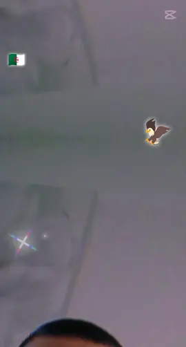 #LIVEIncentiveProgram #KeepItRealKeepItLIVE #PaidPartnership 