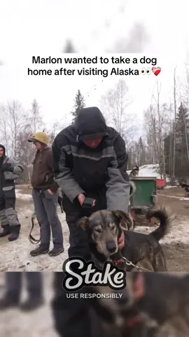 Marlon wanted to take a dog home after visiting Alaska 👀❤️‍🩹 #marlon #fyp 
