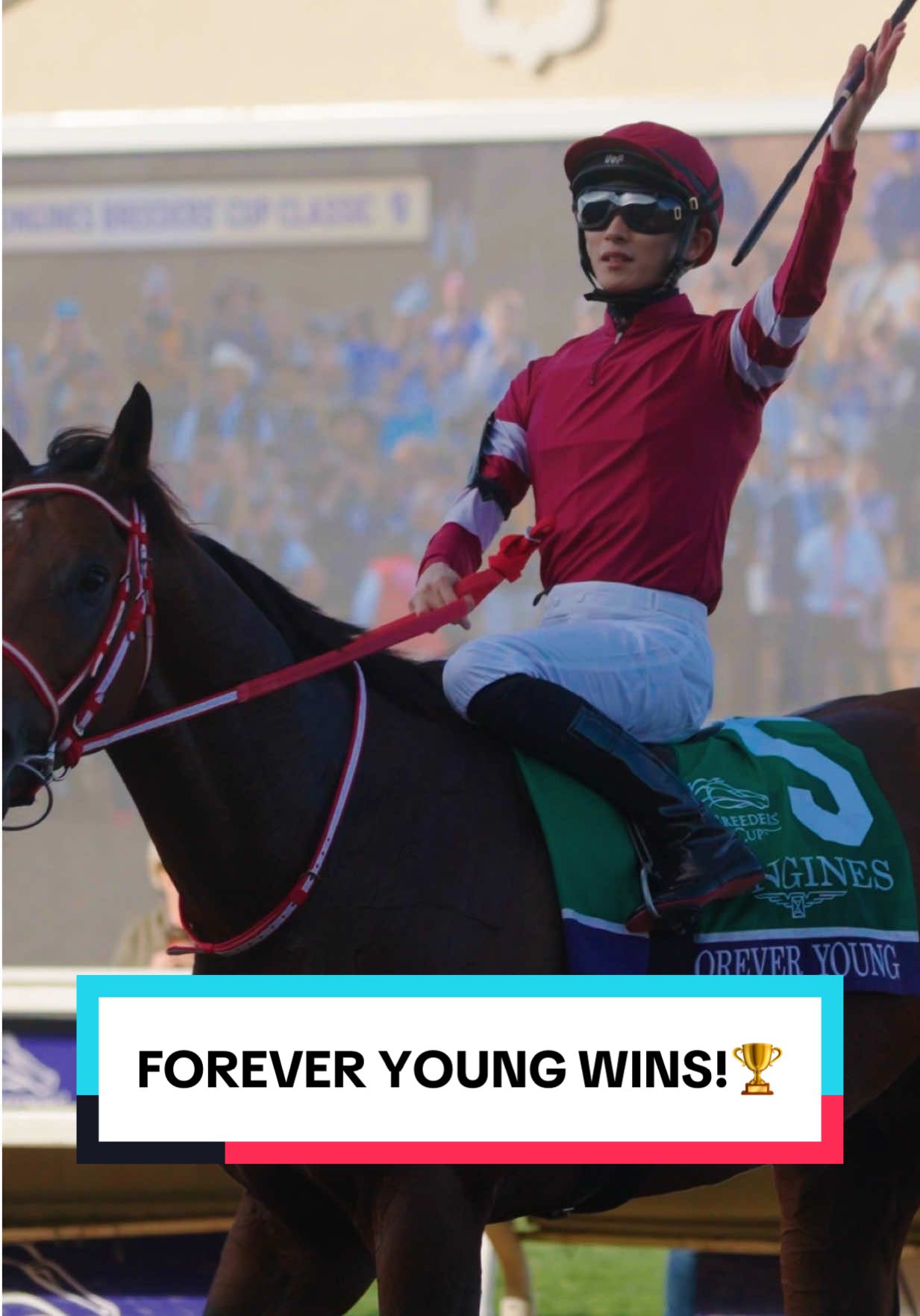 フォーエバーヤング 🇯🇵🏆 #KentuckyDerby #BreedersCup #California #Japan #Winner @Breeders’ Cup 