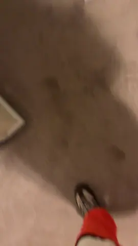 best costume #drakeandjosh #halloween 