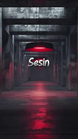 BEN HALA sesini duyarım #kuzgunlyrics 