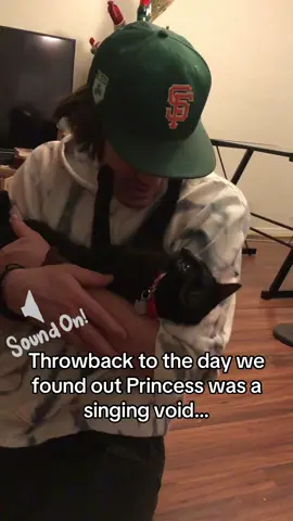 We have a singing kitty who loves Ray Charles. #blackcatsaregoodluck #void #raycharles #singingcats #blackcats 