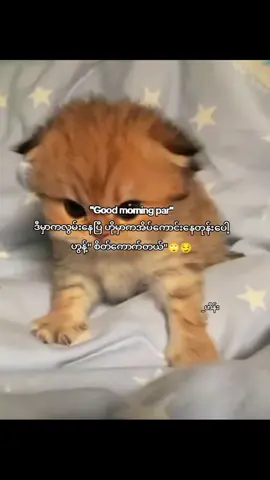 စိတ်ကောက်တယ်🙄😏 #စာတို☯ #mg_hein17 #စာတိုများစုစည်းရာ💫 