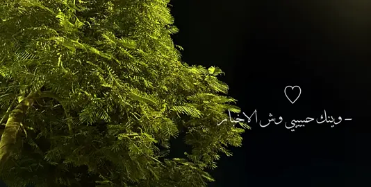 ابغى علومك وش الي صار….!#جبراتت📮 #foryoupage #طلعوهه_آكسبلور #fypシ゚ #تيم_عذريي١ @TikTok Bangladesh 