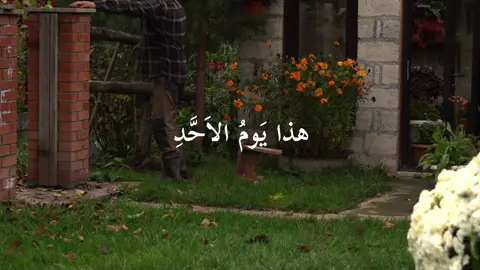 هذا يَومُ الاَحَّدِ، وَهُوَ يَوْمُكَ #دعاء #يوم_الاحد #العراق #بغداد #foryou 