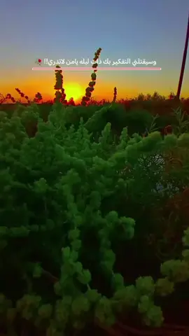 #تصويري#تصويري_احترافي_الاجواء👌🏻#تصاميم_فيديوهات#الفخمه🦋🖤🖇ــــــــــــــــــــــــــــــــــــ 