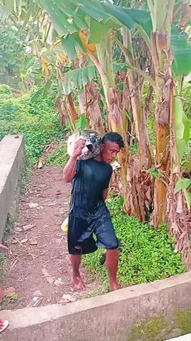 mantap sekali hasilnya