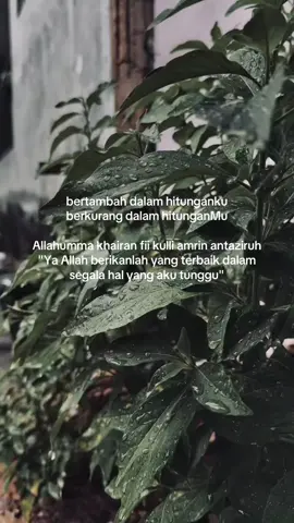 walaupun tidak penting, setidaknya aku ingat hari dimana aku dilahirkan oleh ibu. terima kasih untuk setiap nikmat, nafas, kekuatan, kesehatan yang engkau beri, terima kasih for everything Ya Rabb 🤲🏻🤍 #fyp #blitar24jam 