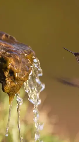 #صلى_على_رسول_الله_صل_الله_عليه_وسلم #محمد_رسول_الله #الحمدالله_علی_کل_حال❤ #لااله_الا_انت_سبحانك_اني_كنت_من_ظالمين #انشر_تؤجر_بإذن_الله 