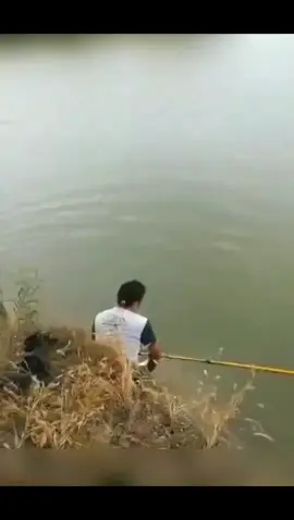 Ngẩn ngơ luôn🤣#caucatunhien #phukiencauca #caudai #fishing 