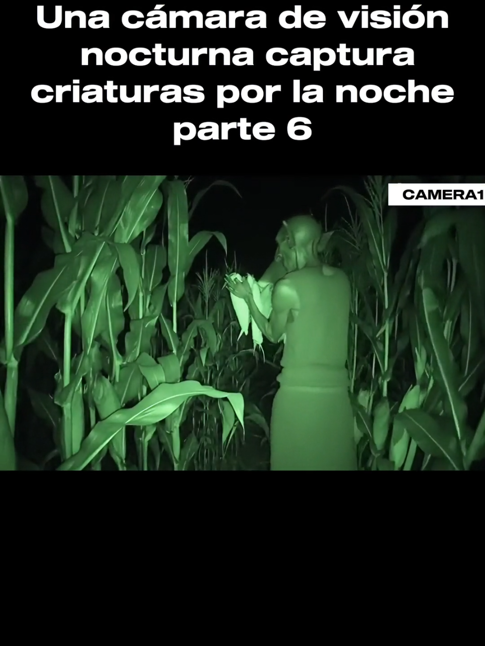 Cámaras capturan criaturas extrañas – parte 7 #terror #milharal #nightvision #MisteriosDelMundo #camera 