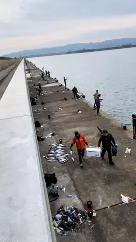 Sóng xô, gió thổi – cá nổ đàn… tim cũng nổ theo 😍#xuhuong #fhisingtiktok #tiktok #TuanMarilo #CapCut 