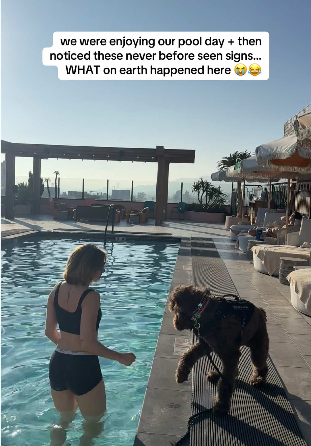 Not one but two signs … 14 DAYS??? I am cracking up im wheeeezing #poolday #poolside #diarrhea #rulesofsurvival #rulesoflife 