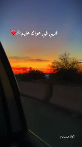 قلبي في هواك هايم #fypシ゚ #tunisia🇹🇳 ##الشعب_الصيني_ماله_حل😂😂 #