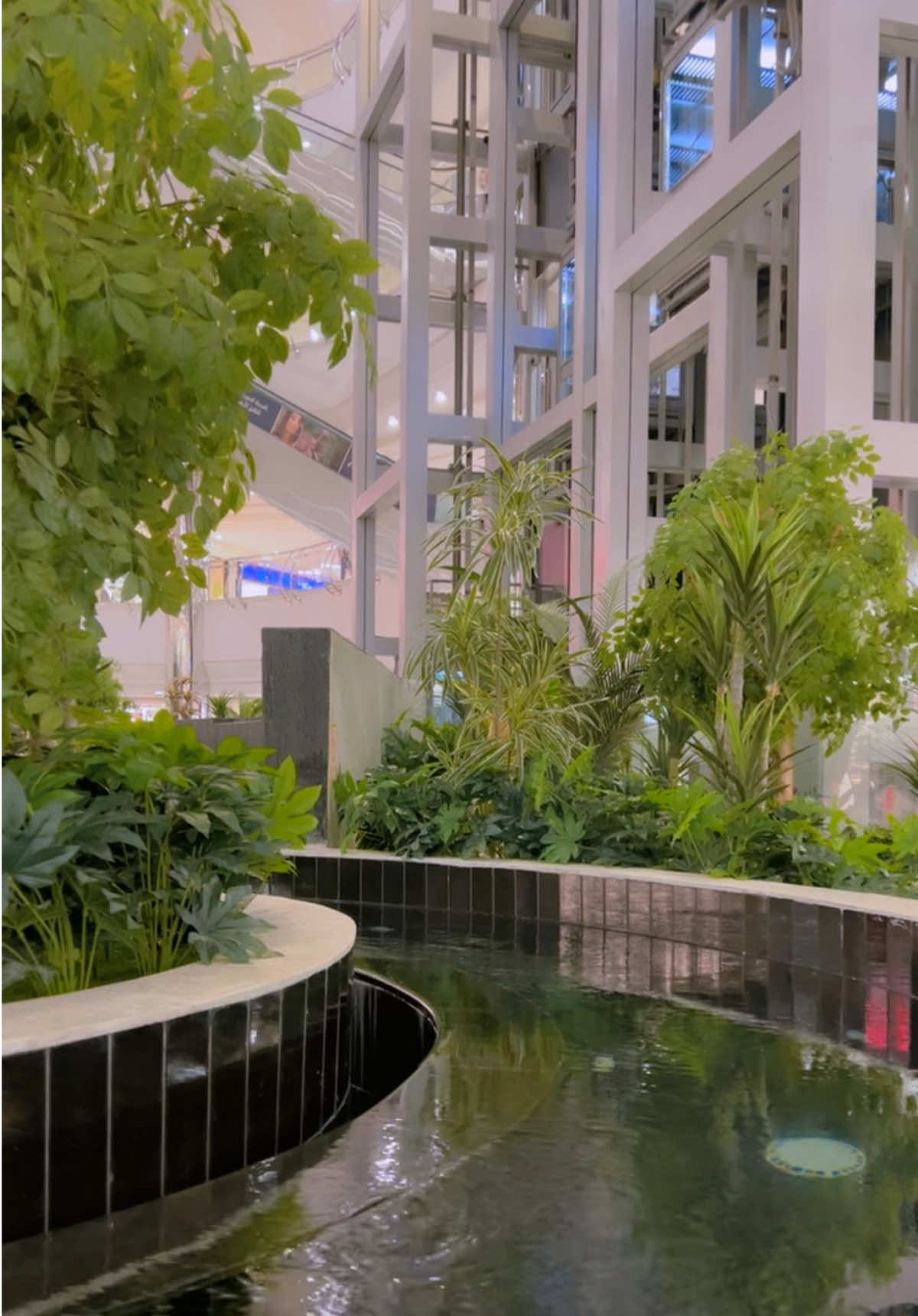 راحة القلب تبدأ من الأشياء البسيطة❣️