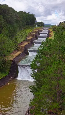 Bạn luỵ Đà Lạt bao nhiêu phần trăm ? #DalatCham #vươndiadang 