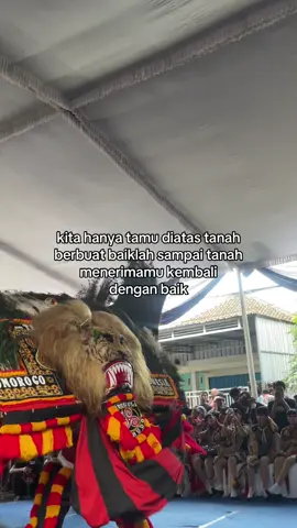 #storyreog#foryoupage 