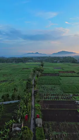 #fyp #drone #pesonajember #