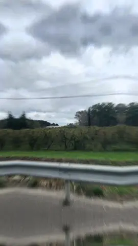 Started November with @Biscuits Charly 🤭 #familytime #bicuits #fyp #november #provence 